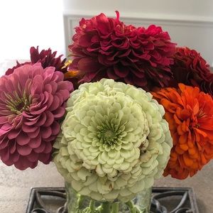 Meet your Posher, Shelly